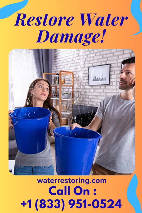 water restoration Power Restoration Professionals Arbon Valley